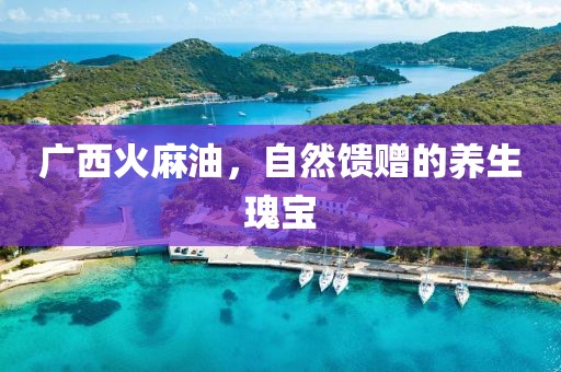 广西火麻油，自然馈赠的养生瑰宝