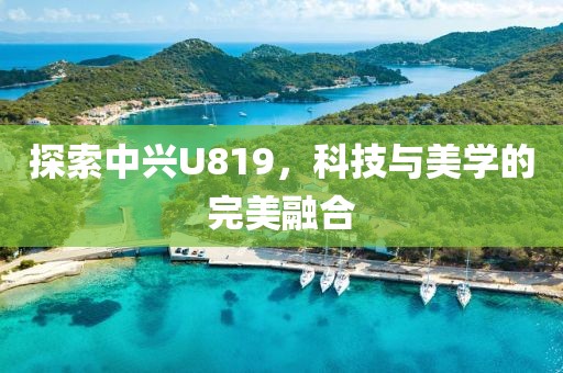 探索中兴U819，科技与美学的完美融合