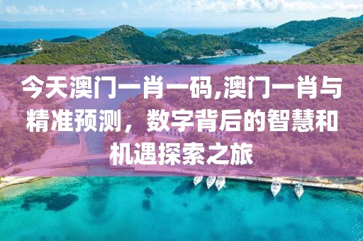 今天澳门一肖一码,澳门一肖与精准预测，数字背后的智慧和机遇探索之旅
