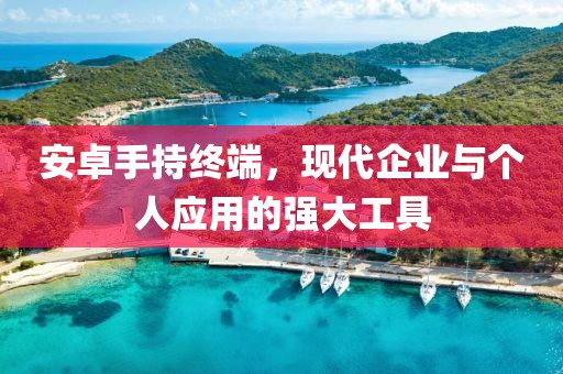 安卓手持终端