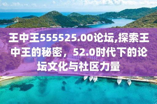 王中王555525.00论坛,探索王中王的秘密，52.0时代下的论坛文化与社区力量