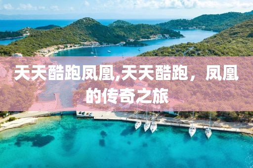 天天酷跑凤凰,天天酷跑，凤凰的传奇之旅