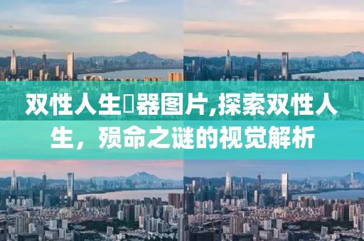 双性人生殅器图片,探索双性人生，殒命之谜的视觉解析