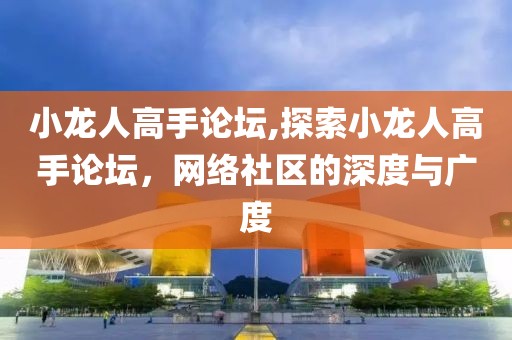 小龙人高手论坛,探索小龙人高手论坛，网络社区的深度与广度