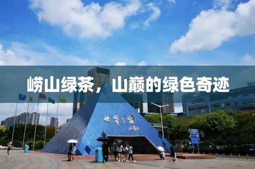 崂山绿茶，山巅的绿色奇迹