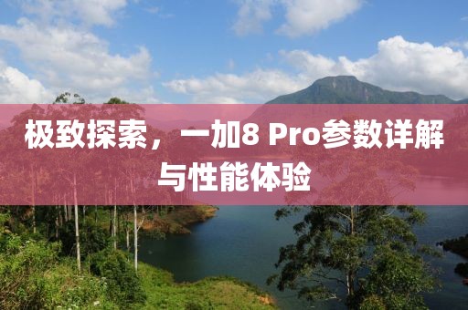 极致探索，一加8 Pro参数详解与性能体验