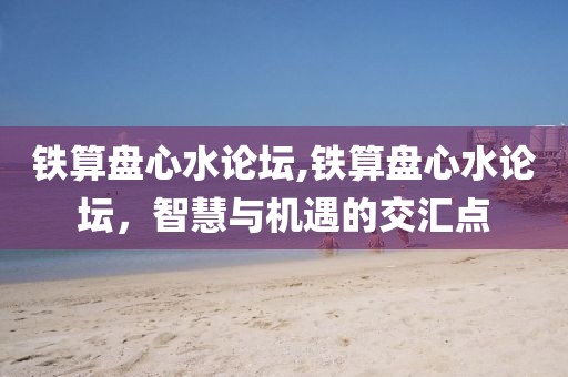 铁算盘心水论坛,铁算盘心水论坛，智慧与机遇的交汇点