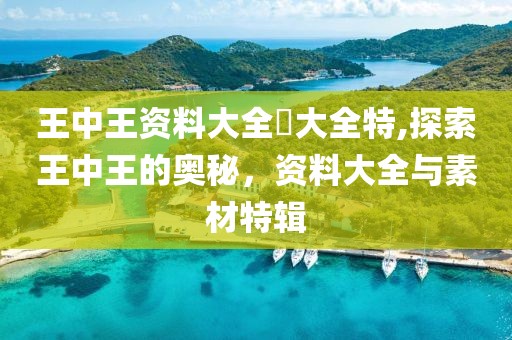 王中王资料大全枓大全特,探索王中王的奥秘，资料大全与素材特辑
