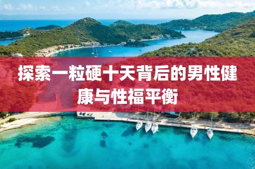 探索一粒硬十天背后的男性健康与性福平衡