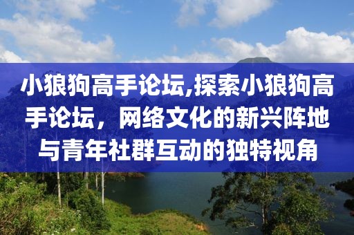 小狼狗高手论坛,探索小狼狗高手论坛，网络文化的新兴阵地与青年社群互动的独特视角