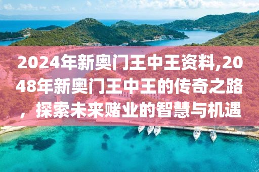 2024年新奥门王中王资料