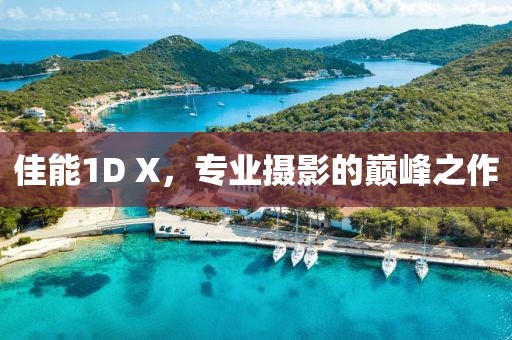 佳能1D X，专业摄影的巅峰之作