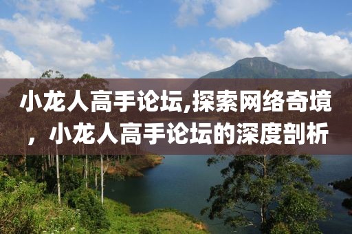 小龙人高手论坛,探索网络奇境，小龙人高手论坛的深度剖析