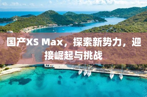 国产XS Max，探索新势力，迎接崛起与挑战