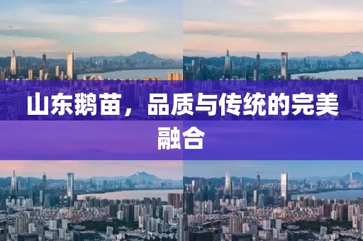 山东鹅苗，品质与传统的完美融合