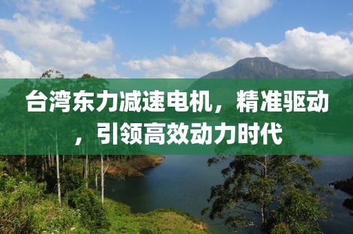 台湾东力减速电机，精准驱动，引领高效动力时代