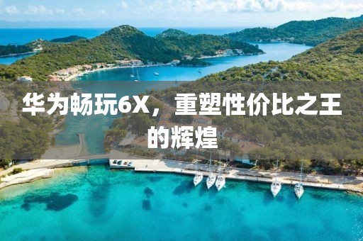 华为畅玩6X，重塑性价比之王的辉煌