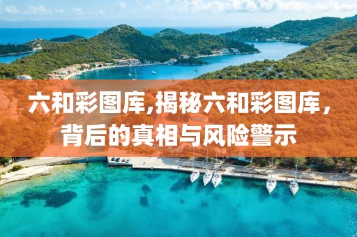 六和彩图库,揭秘六和彩图库，背后的真相与风险警示