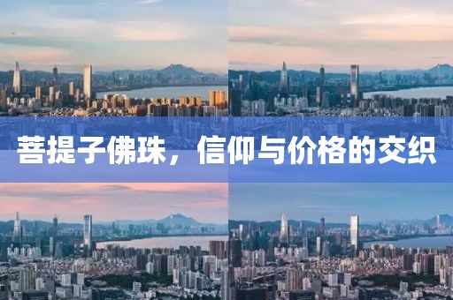 菩提子佛珠价格