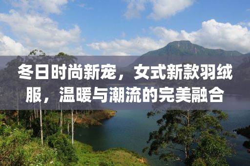 冬日时尚新宠，女式新款羽绒服，温暖与潮流的完美融合