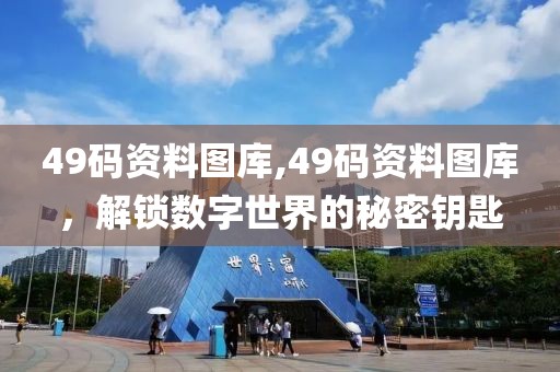 49码资料图库,49码资料图库，解锁数字世界的秘密钥匙