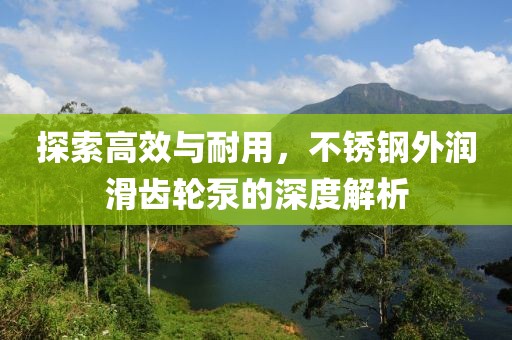 探索高效与耐用，不锈钢外润滑齿轮泵的深度解析