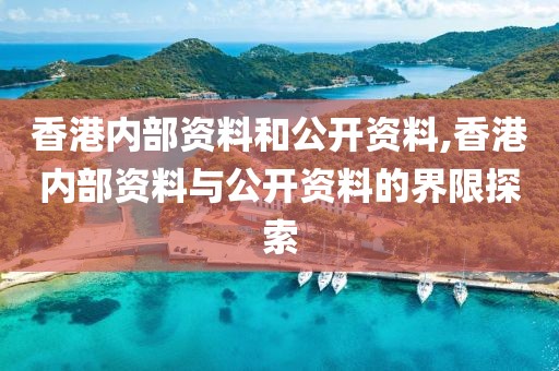 香港内部资料和公开资料,香港内部资料与公开资料的界限探索