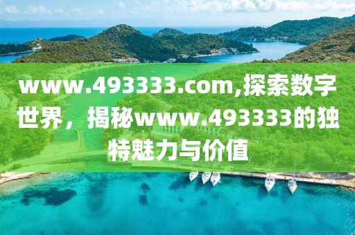 www.493333.com,探索数字世界，揭秘www.493333的独特魅力与价值