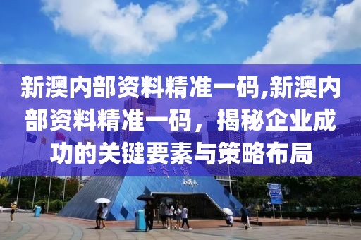 新澳内部资料精准一码,新澳内部资料精准一码，揭秘企业成功的关键要素与策略布局