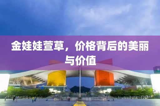 金娃娃萱草，价格背后的美丽与价值