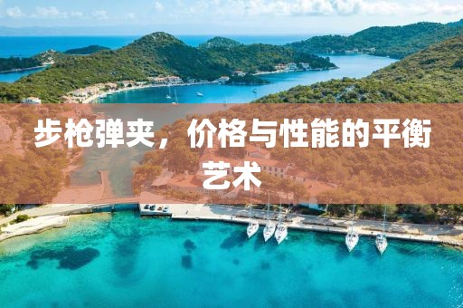 步枪弹夹，价格与性能的平衡艺术