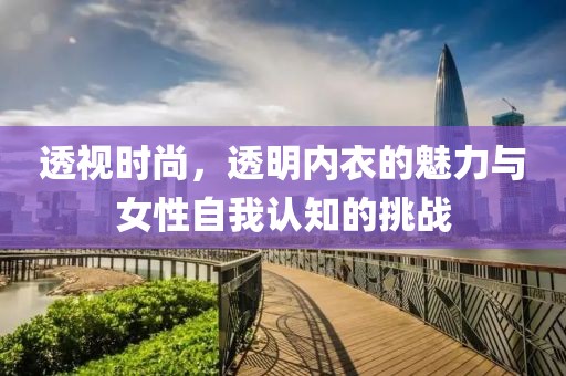 透视时尚，透明内衣的魅力与女性自我认知的挑战