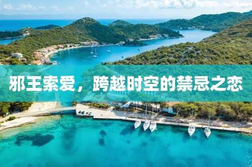 邪王索爱，跨越时空的禁忌之恋