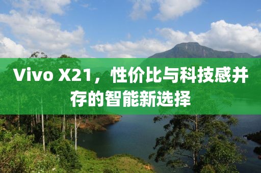 Vivo X21，性价比与科技感并存的智能新选择