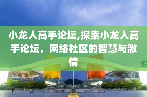 小龙人高手论坛,探索小龙人高手论坛，网络社区的智慧与激情