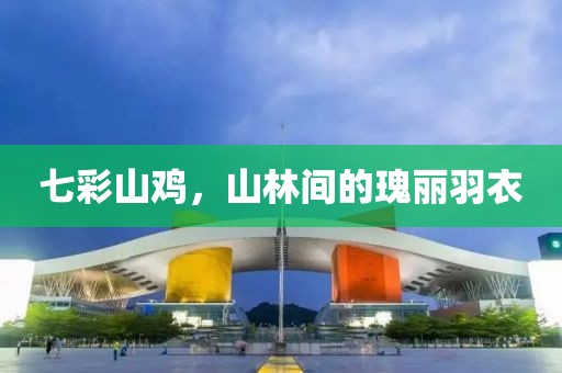 七彩山鸡，山林间的瑰丽羽衣