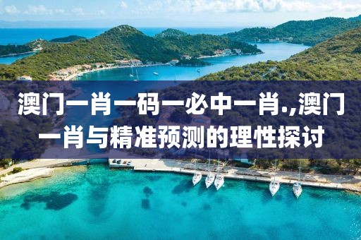 澳门一肖一码一必中一肖.,澳门一肖与精准预测的理性探讨