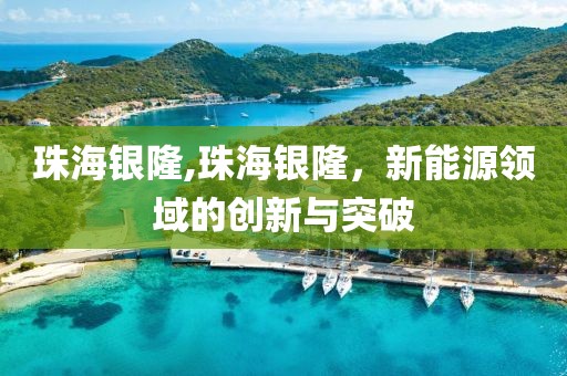 珠海银隆,珠海银隆，新能源领域的创新与突破