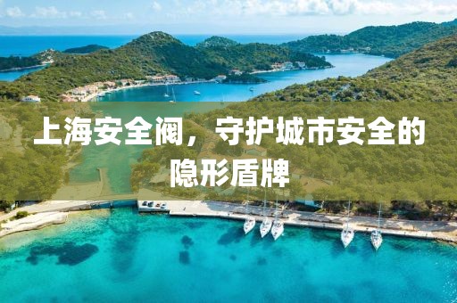 上海安全阀，守护城市安全的隐形盾牌