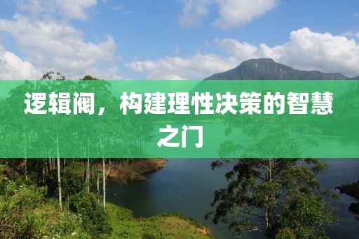 逻辑阀，构建理性决策的智慧之门