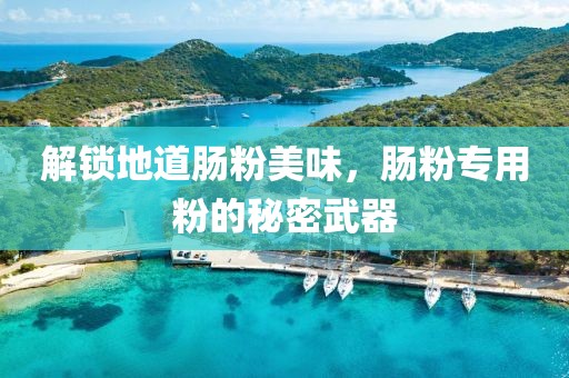 解锁地道肠粉美味，肠粉专用粉的秘密武器