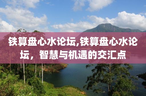 铁算盘心水论坛,铁算盘心水论坛，智慧与机遇的交汇点
