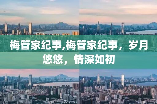 梅管家纪事,梅管家纪事，岁月悠悠，情深如初