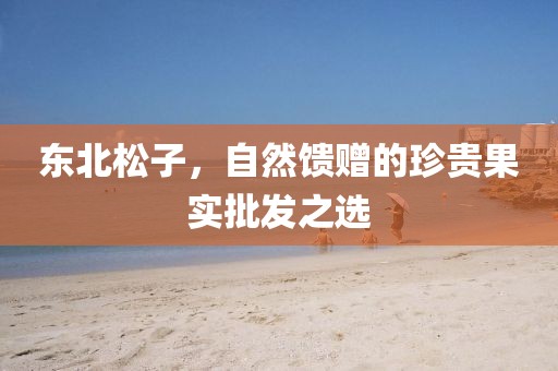东北松子，自然馈赠的珍贵果实批发之选