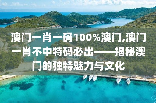 澳门一肖一码100%澳门,澳门一肖不中特码必出——揭秘澳门的独特魅力与文化
