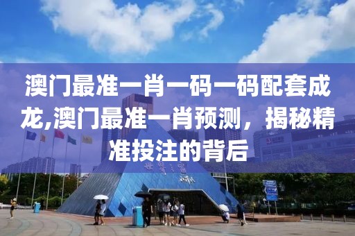 澳门最准一肖一码一码配套成龙,澳门最准一肖预测，揭秘精准投注的背后