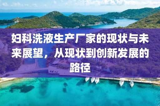 妇科洗液生产厂家的现状与未来展望，从现状到创新发展的路径