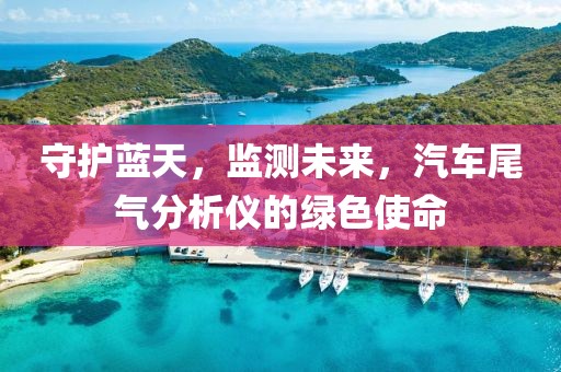 蓝天守护与未来监测