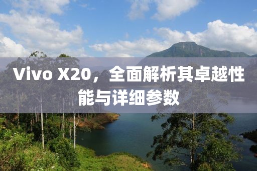 Vivo X20，全面解析其卓越性能与详细参数