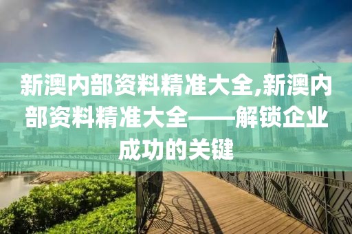 新澳内部资料精准大全,新澳内部资料精准大全——解锁企业成功的关键